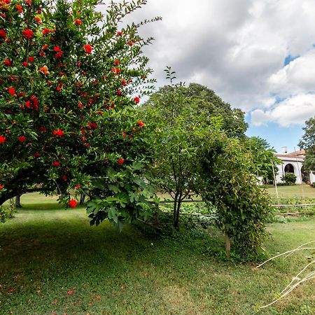 All'Ombra Del Bagolaro Taglio di Po Εξωτερικό φωτογραφία